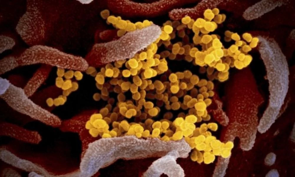 Κορωνοϊός: Μεταλλάχθηκε κι έγινε πιο επιθετικός